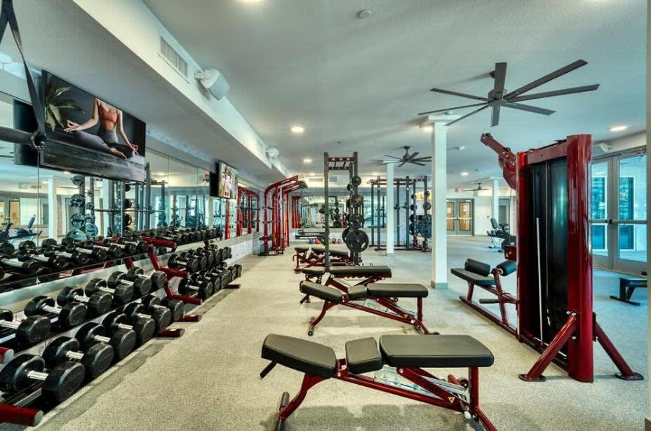 Cozysuites Phx Roro Gym, Pool, Pets, Parking! #4 Apartment Phoenix
